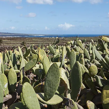 Hubara Retreat * チャルコ・デル・パロ