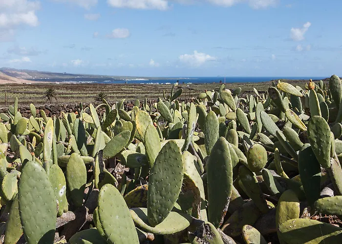 Hubara Retreat * Charco del Palo